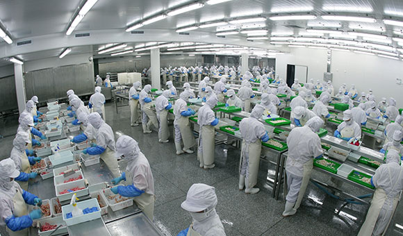 食品廠(chǎng)房