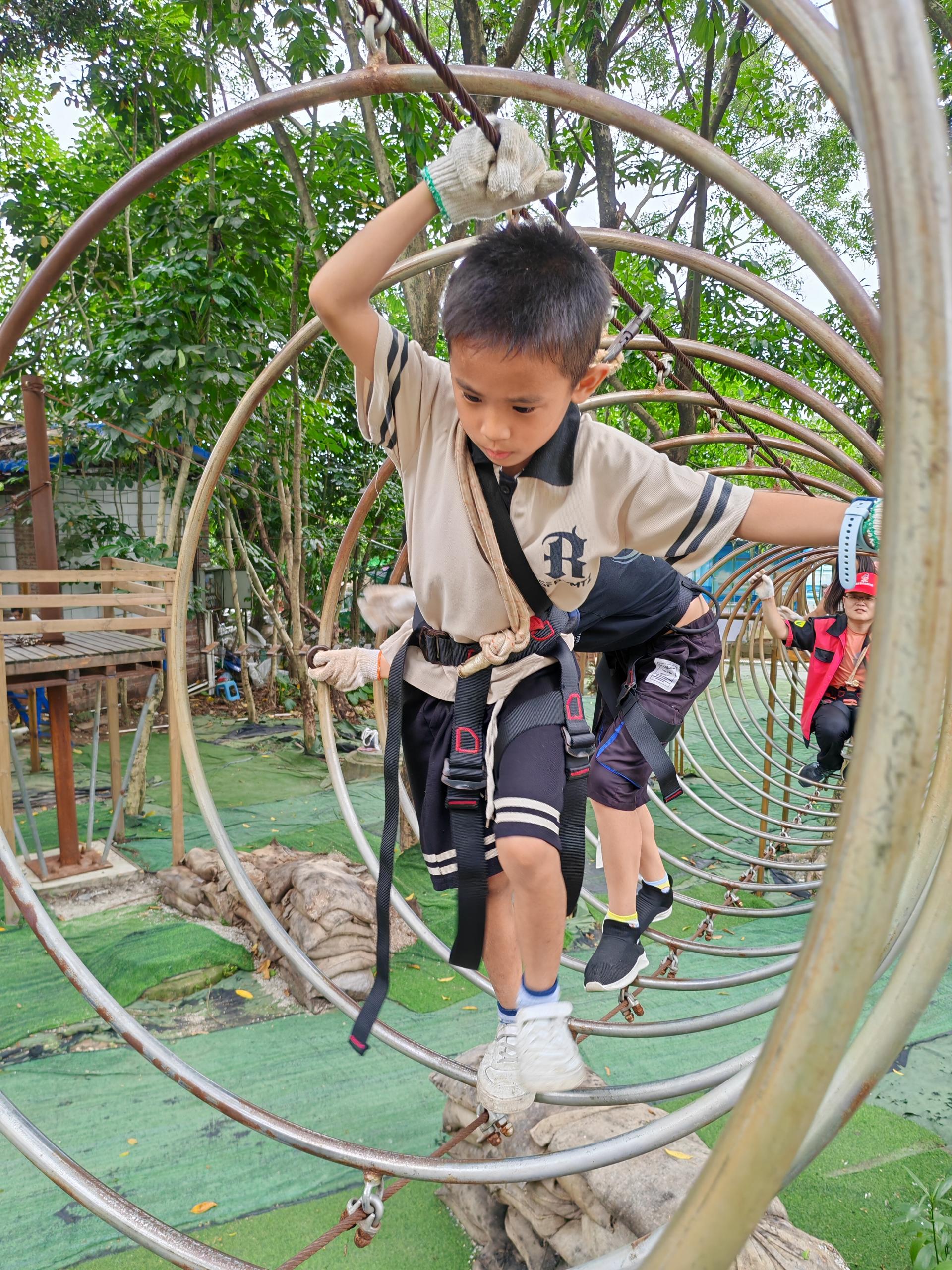 mmexport1716178332236(3).jpg mmexport1716178332236(3).jpg