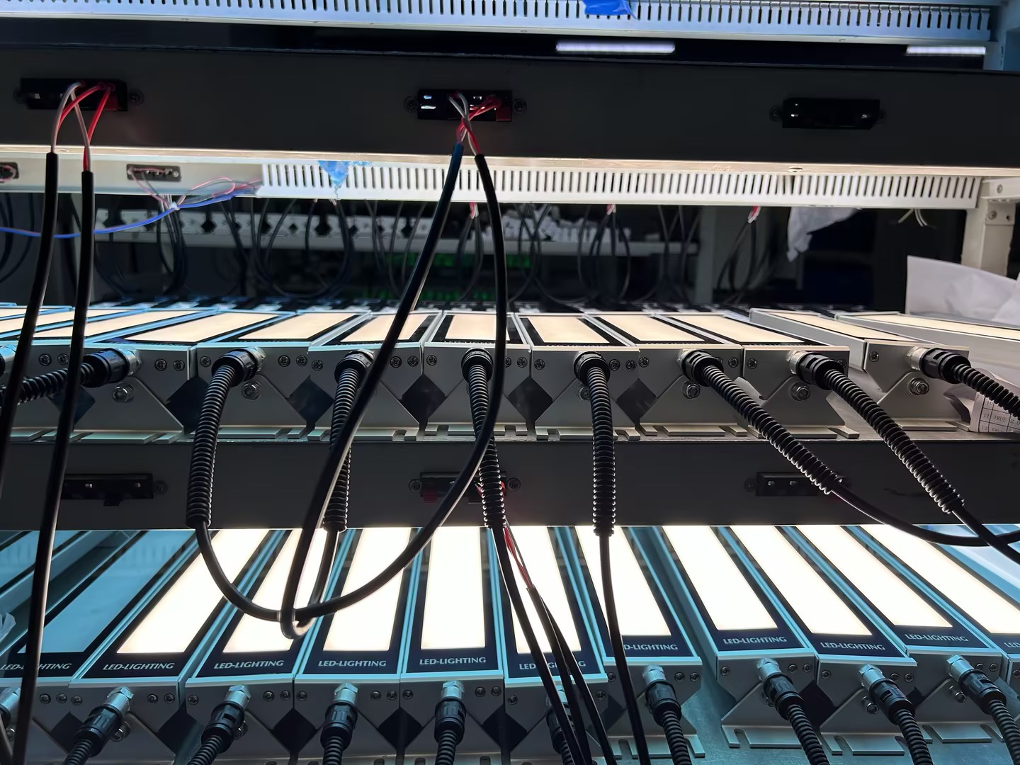 b2e2855d-5312-4b1d-884f-251cd64c173a.jpg b2e2855d-5312-4b1d-884f-251cd64c173a.jpg