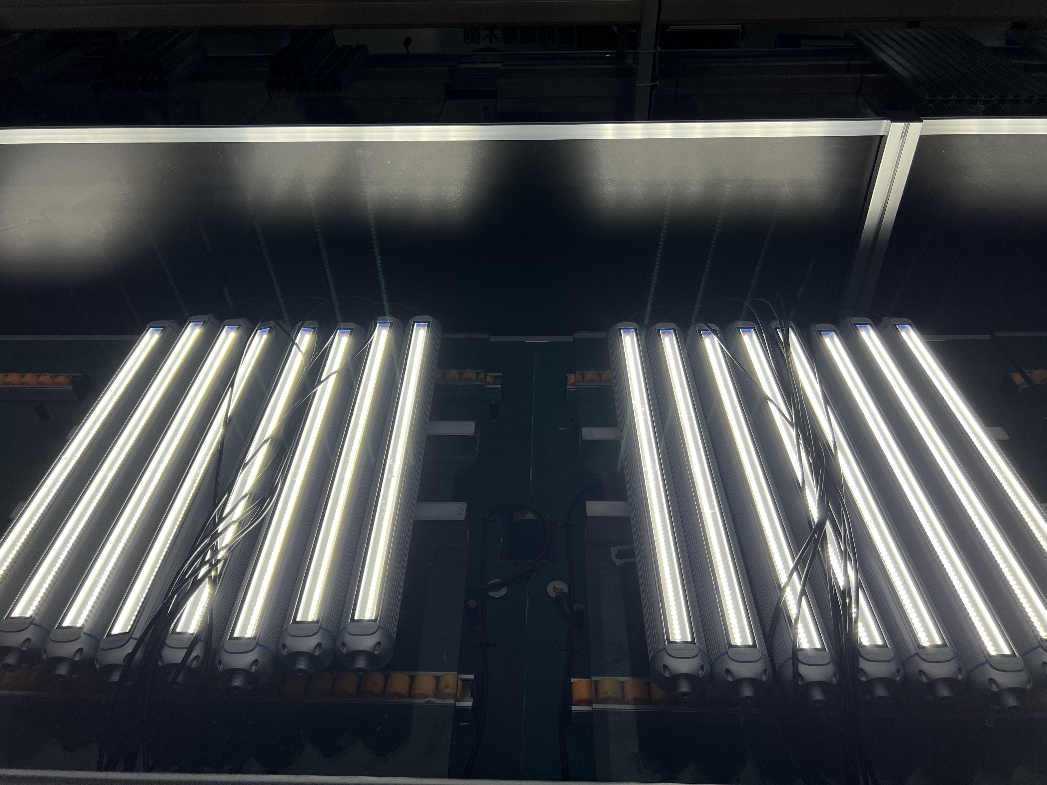 2025_02_07_15_54_IMG_6489(1).jpg 2025_02_07_15_54_IMG_6489(1).jpg